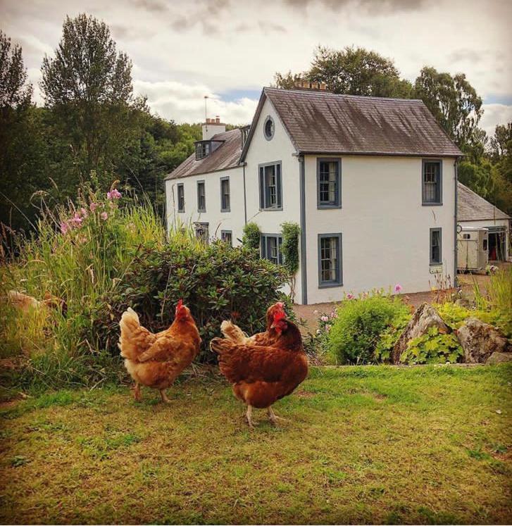 Bedrule Old Manse B&B Hawick Εξωτερικό φωτογραφία