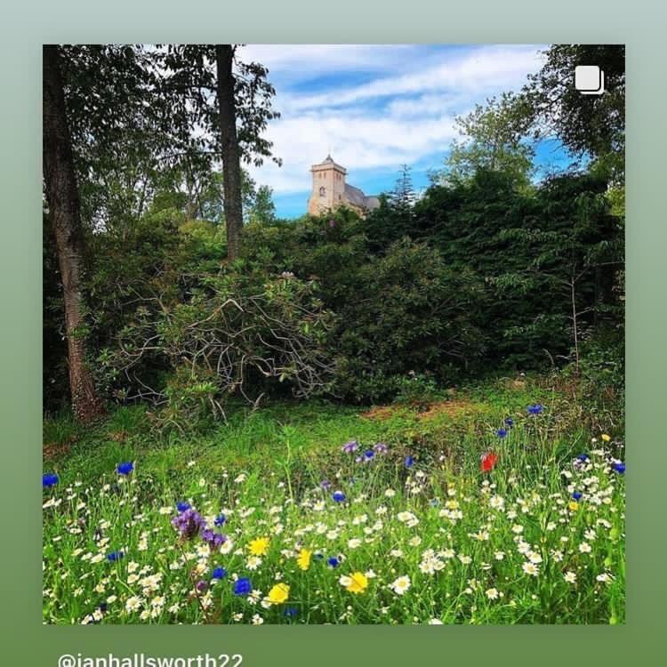 Bedrule Old Manse B&B Hawick Εξωτερικό φωτογραφία